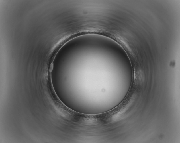 X0000091370348200708171549