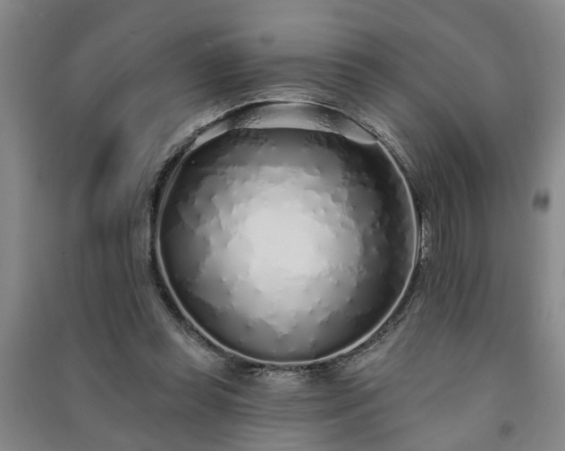 X0000091370349200708171549