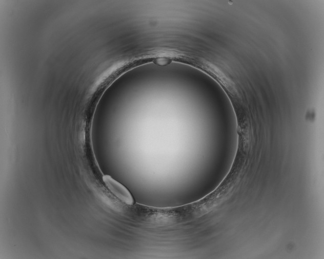 X0000091370350200708171549