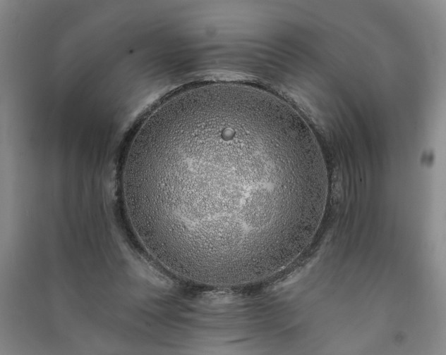 X0000091370351200708171549