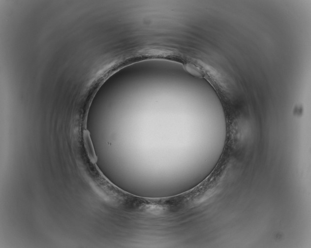 X0000091370352200708171549