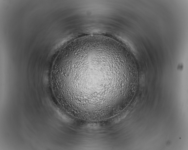 X0000091370353200708171550