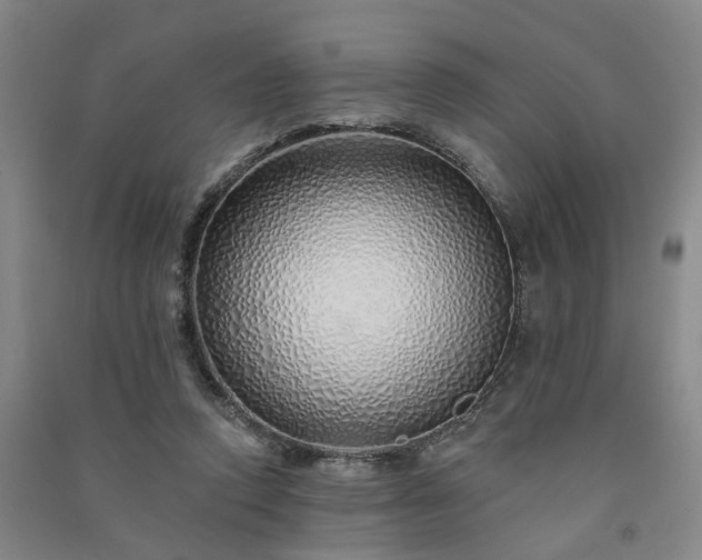 X0000091370354200708171550