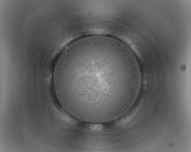 X0000091370355200708171550