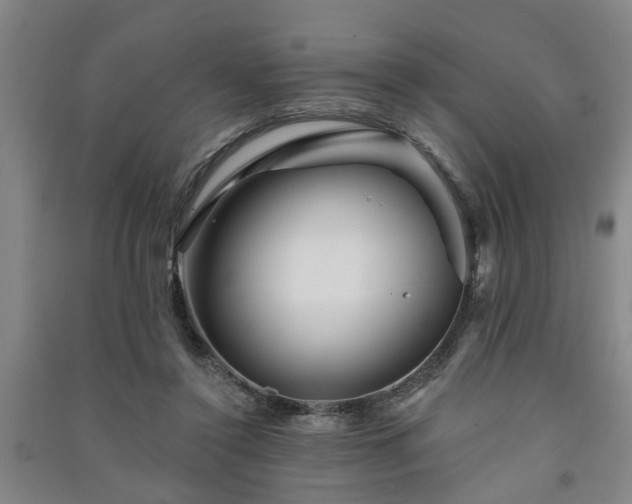 X0000091370356200708171550