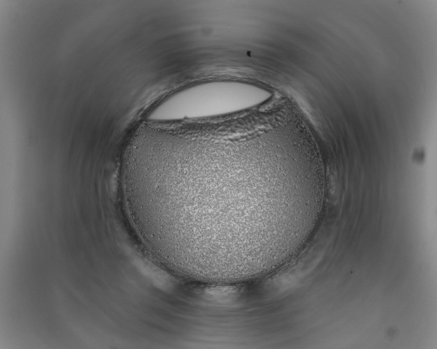 X0000091370357200708171550