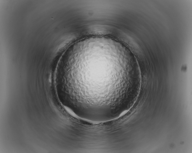 X0000091370358200708171550