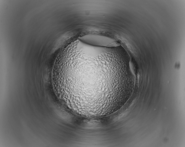 X0000091370359200708171550