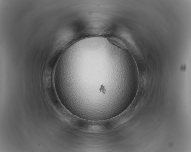 X0000091370360200708171550