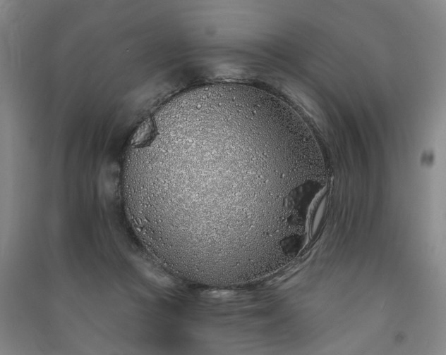 X0000091370361200708171550