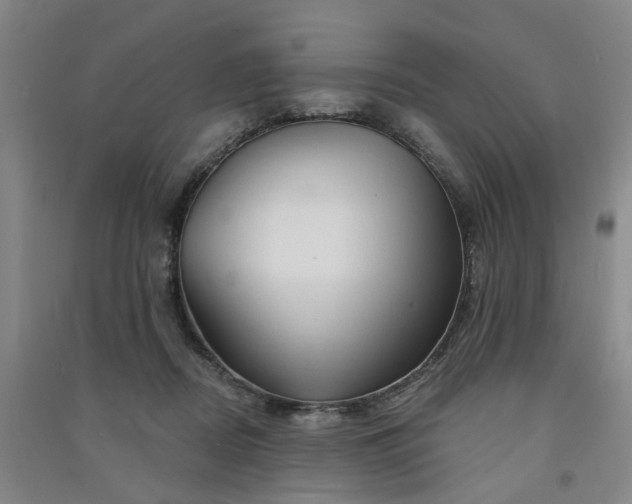 X0000091370362200708171550