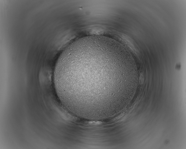 X0000091370363200708171550