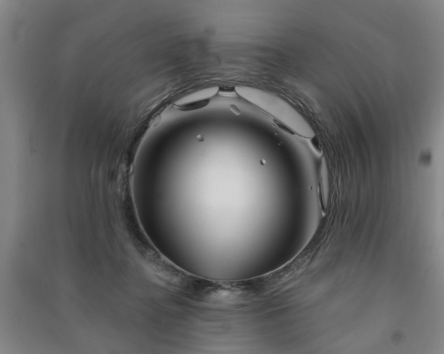 X0000091370364200708171550