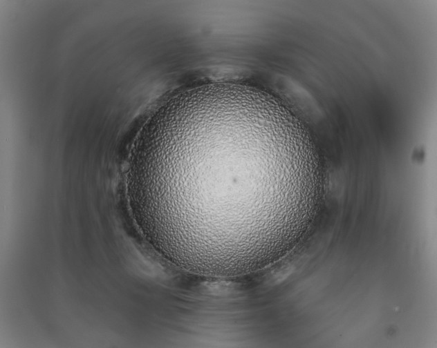 X0000091370367200708171550