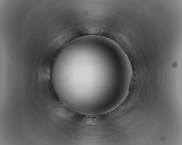 X0000091370368200708171550