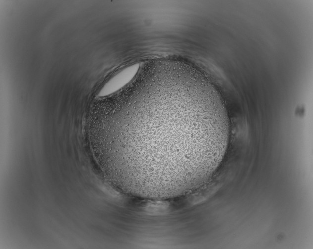 X0000091370369200708171550