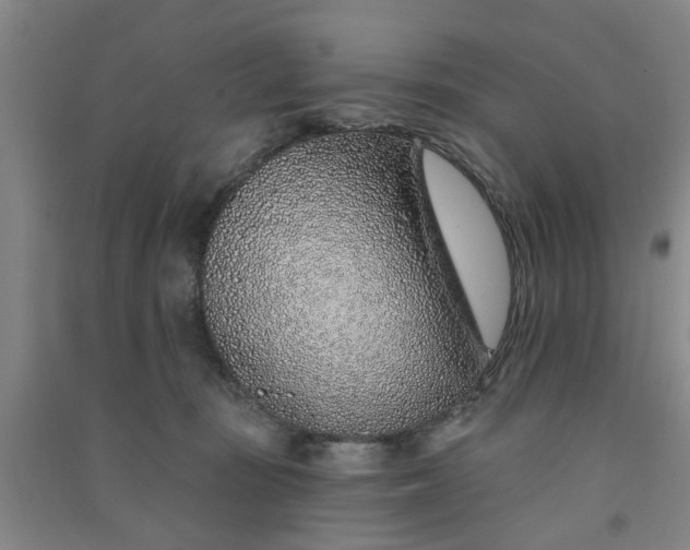 X0000091370371200708171550