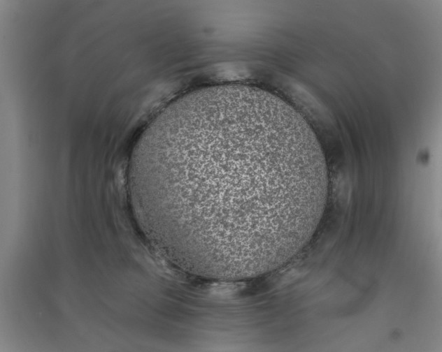 X0000091370373200708171550