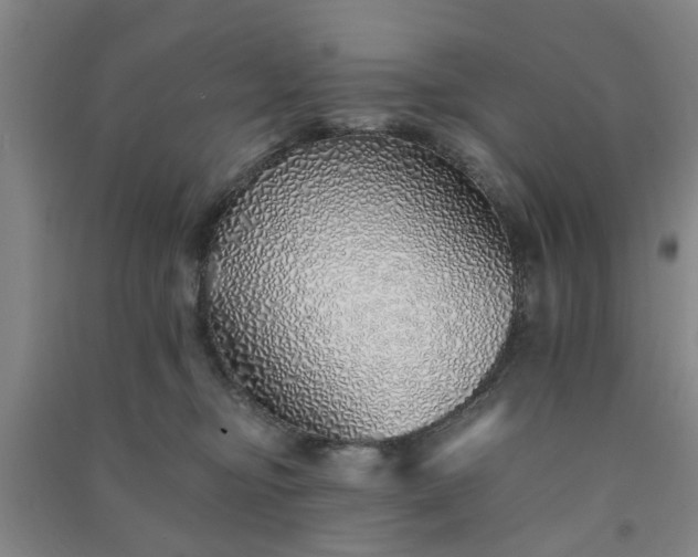 X0000091370374200708171550