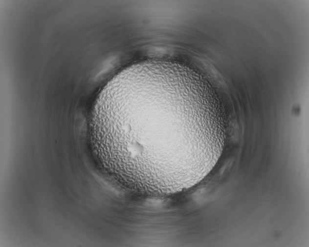 X0000091370375200708171550