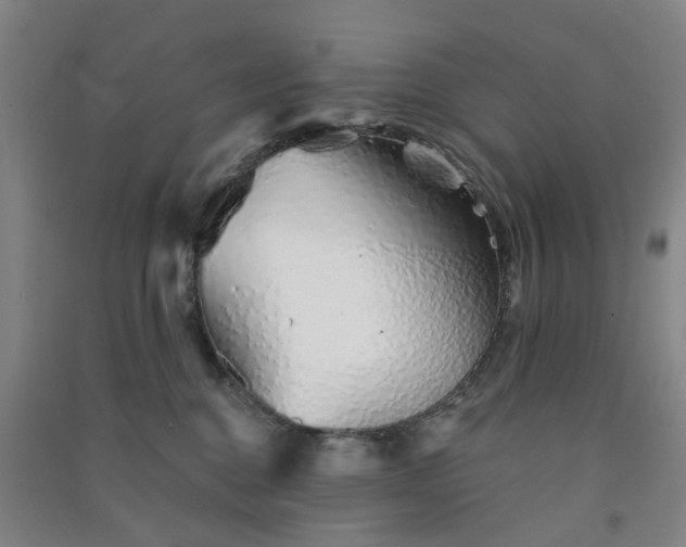 X0000091370376200708171550