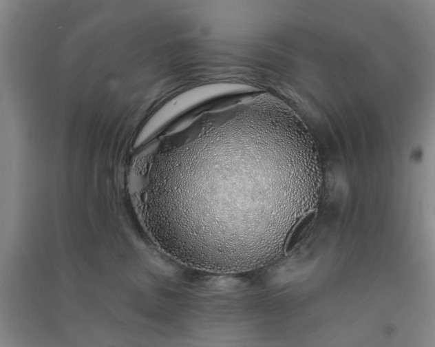 X0000091370379200708171550