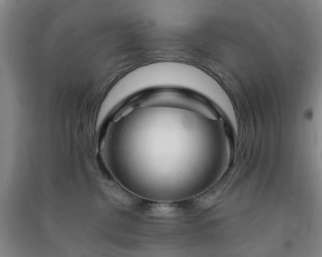 X0000091370380200708171550