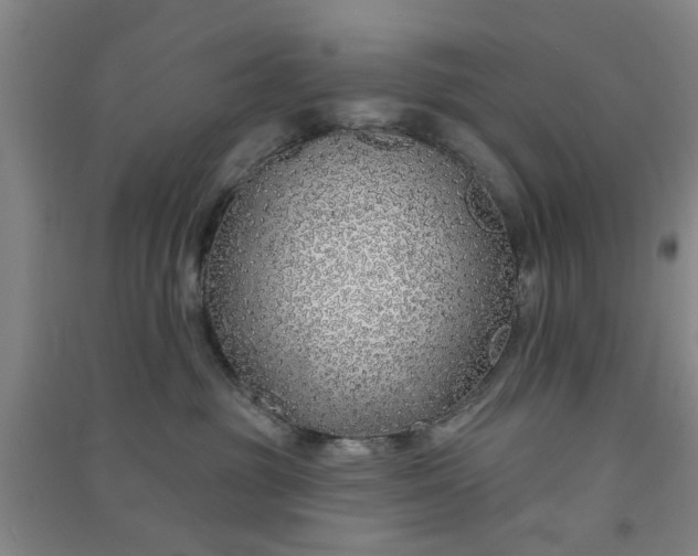 X0000091370381200708171550