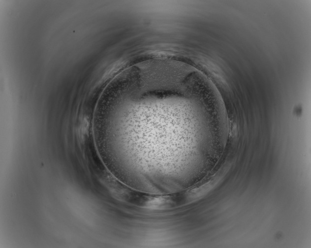 X0000091370382200708171550