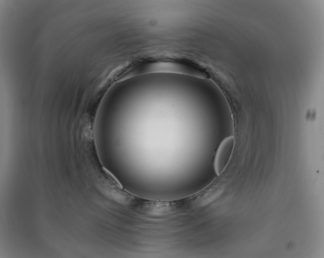 X0000091370384200708171550