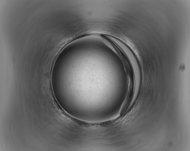 X0000091370385200708171549