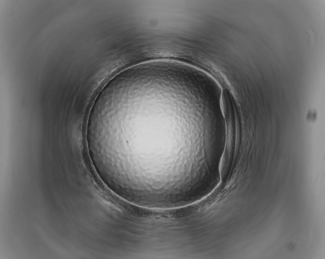 X0000091370386200708171549