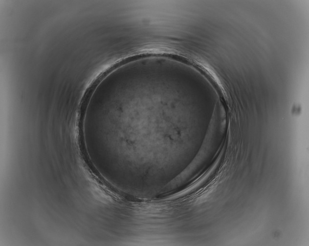 X0000091370387200708171549