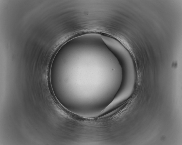 X0000091370389200708171549