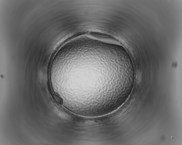 X0000091370390200708171549