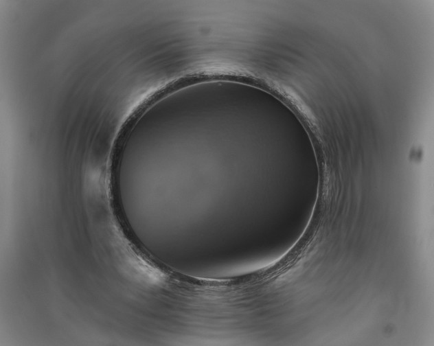 X0000091370391200708171549