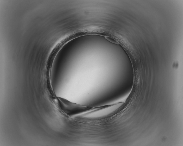 X0000091370392200708171549