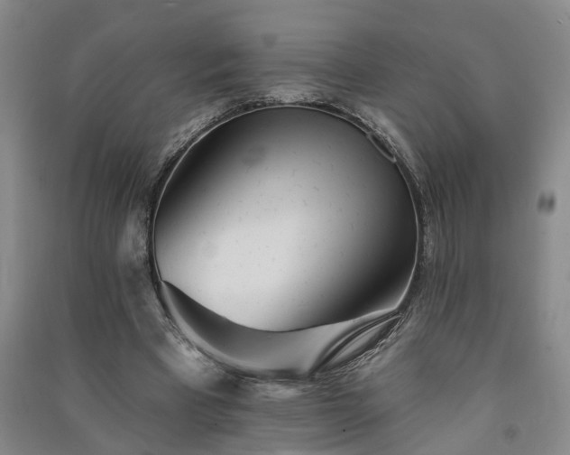 X0000091370393200708171549