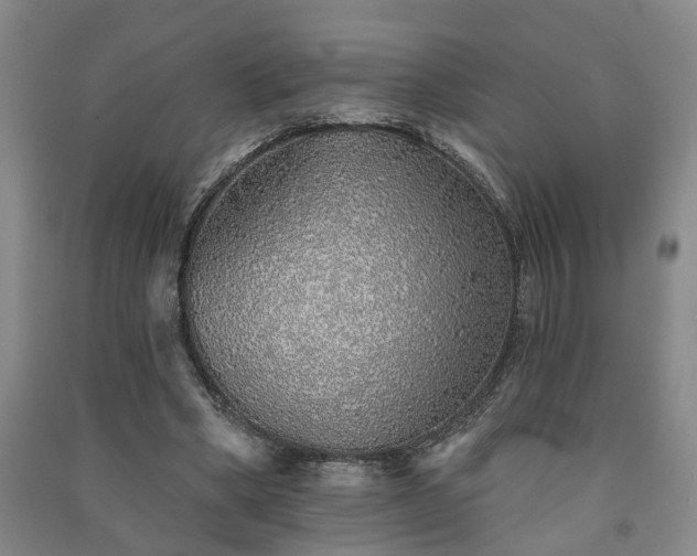 X0000091370394200708171549