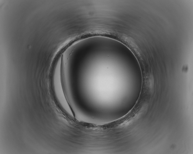 X0000091370395200708171549