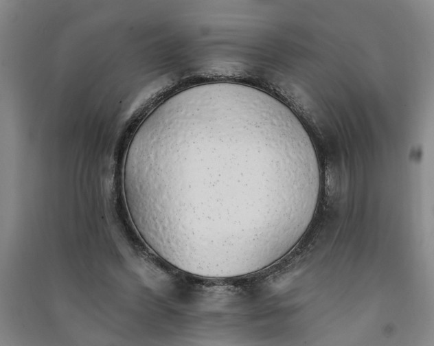 X0000091370396200708171549