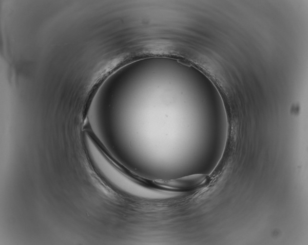 X0000091370397200708171549