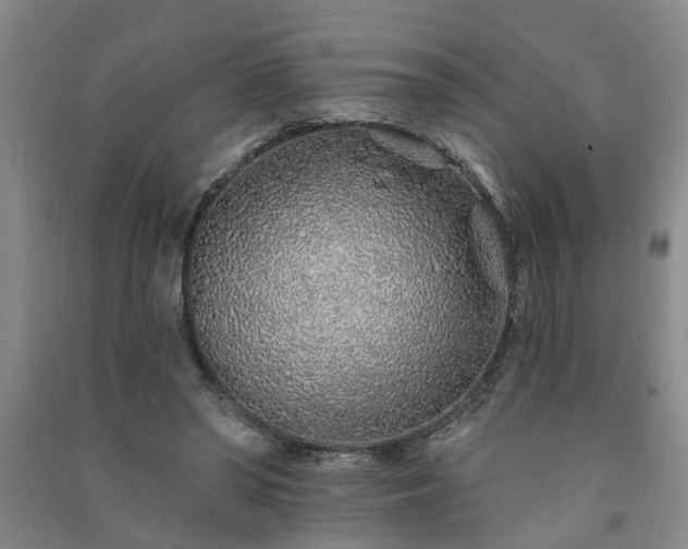 X0000091370398200708171549