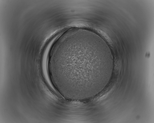 X0000091370399200708171549