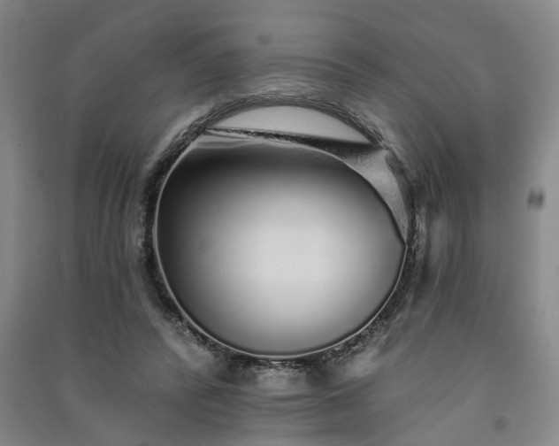 X0000091370400200708171549