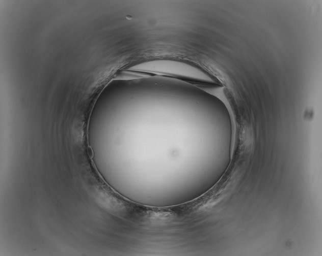 X0000091370401200708171549