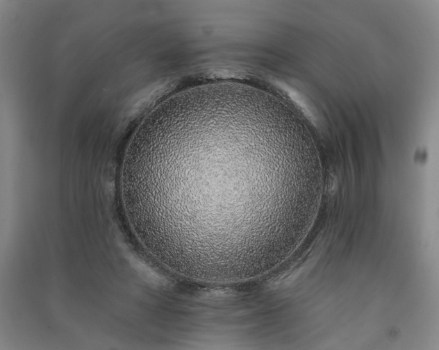 X0000091370402200708171549