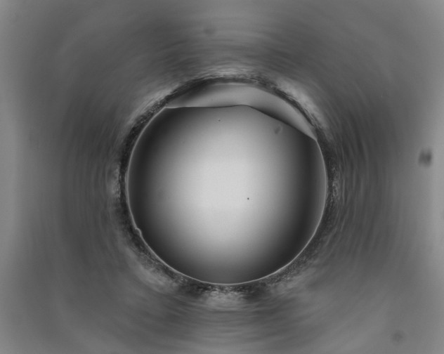 X0000091370403200708171549