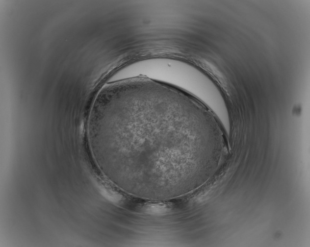 X0000091370405200708171549