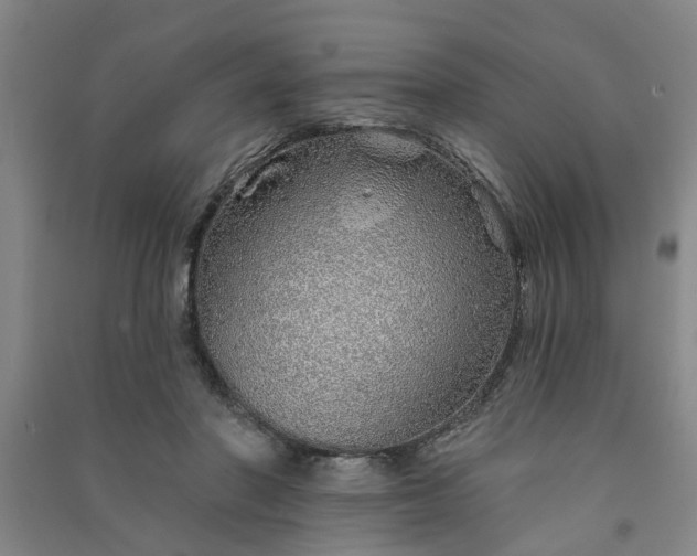 X0000091370406200708171549